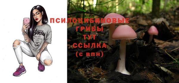 mdpv Нея