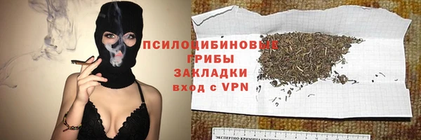 соль ск Абдулино