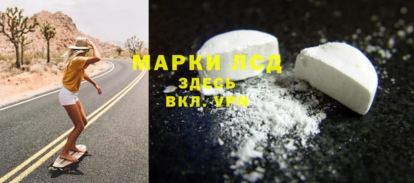 ПСИЛОЦИБИНОВЫЕ ГРИБЫ Абаза