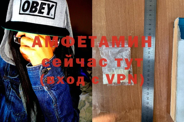 ПСИЛОЦИБИНОВЫЕ ГРИБЫ Абаза