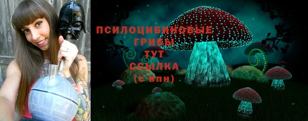 ПСИЛОЦИБИНОВЫЕ ГРИБЫ Абаза