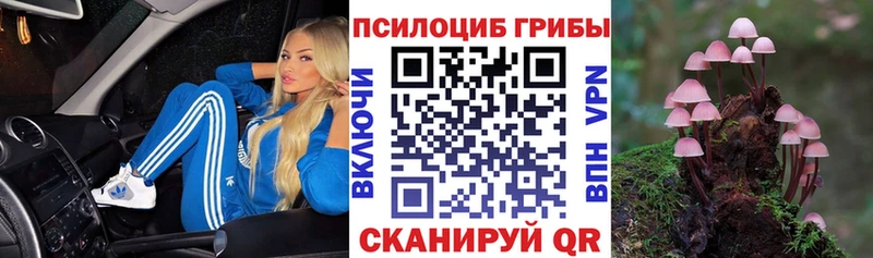 сколько стоит  Ханты-Мансийск  Галлюциногенные грибы MAGIC MUSHROOMS 