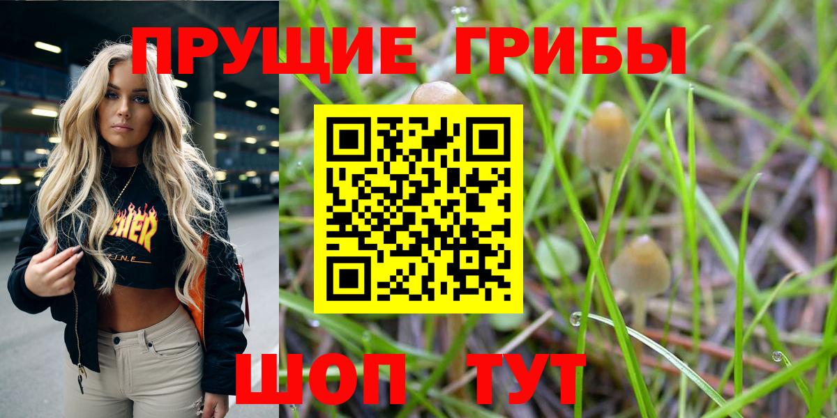 Галлюциногенные грибы MAGIC MUSHROOMS  Вход с VPN  Ханты-Мансийск  Псилоцибиновые грибы Cubensis 